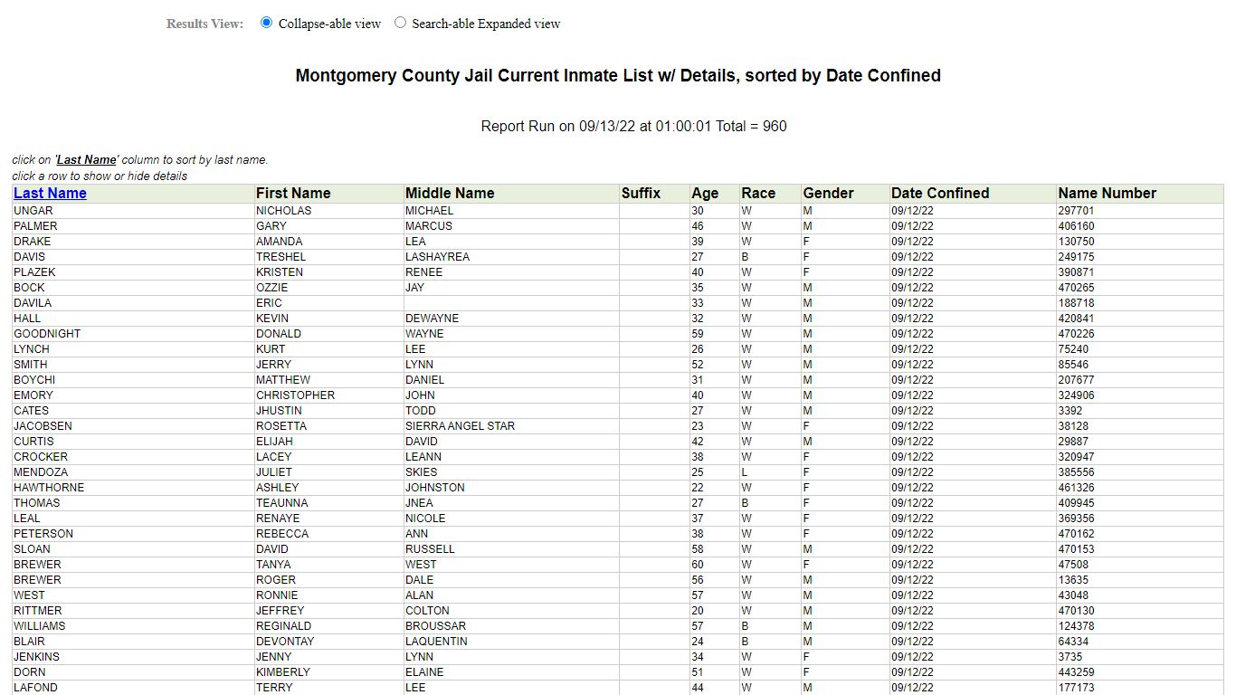 Jail Roster - Montgomery County, Texas